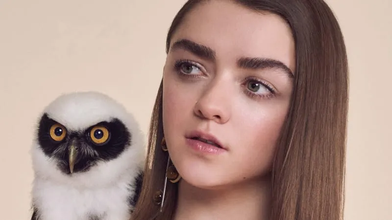 Maisie Williams Theme Preview Image
