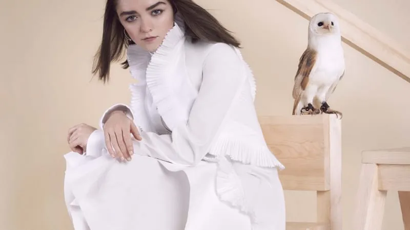 Maisie Williams Theme Preview Image