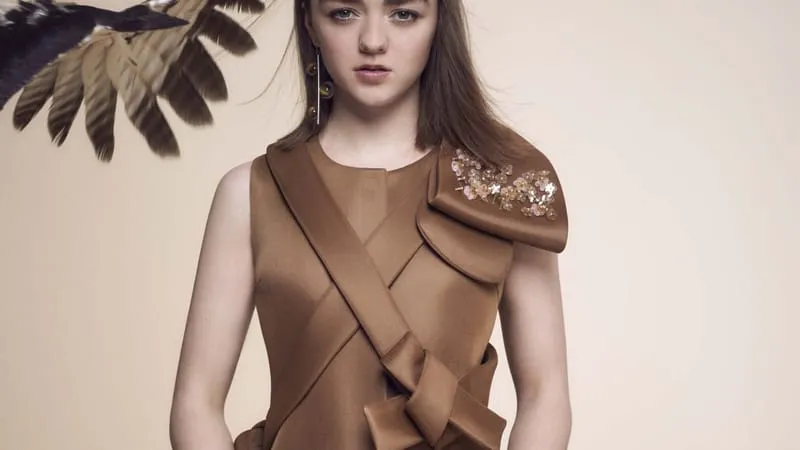 Maisie Williams Theme Preview Image