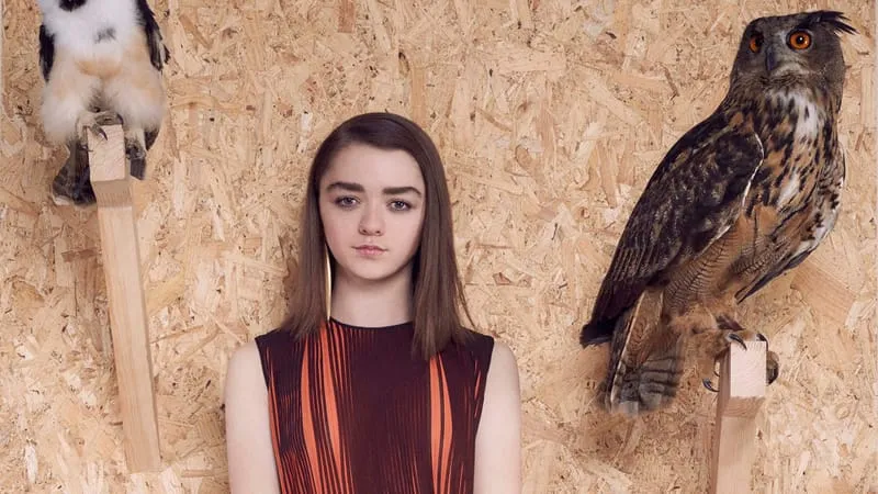Maisie Williams Theme Preview Image