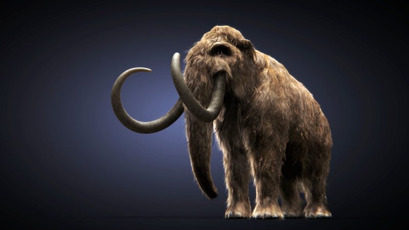 Mammoth Theme Preview Image