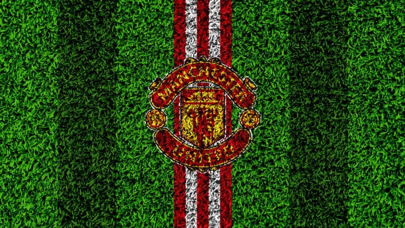 Manchester United F.C. Theme Preview Image