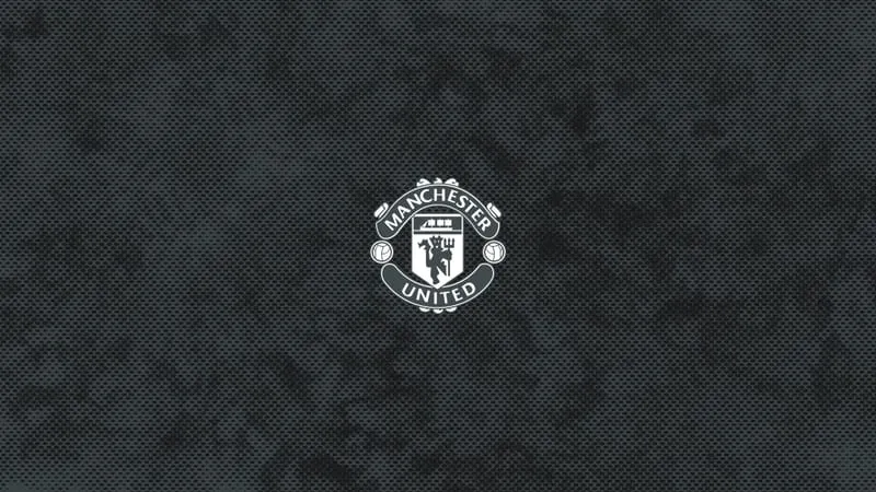 Manchester United F.C. Theme Preview Image
