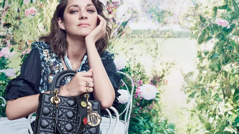 Marion Cotillard Theme Preview Image