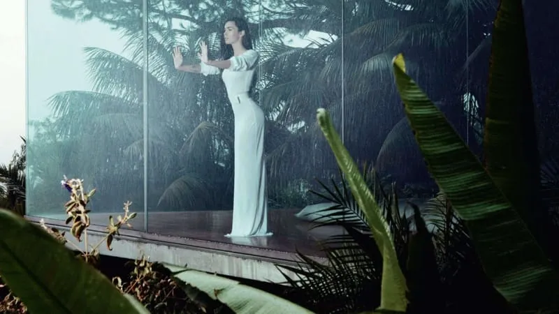 Megan Fox Theme Preview Image