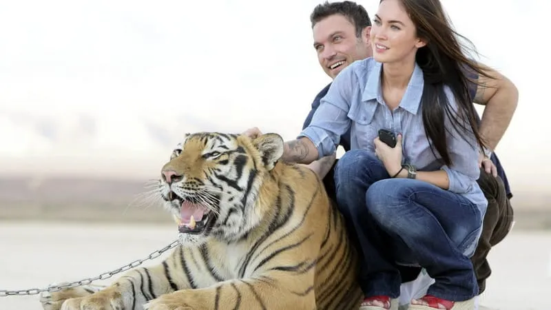 Megan Fox Theme Preview Image