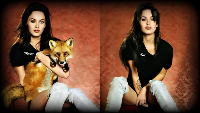 Megan Fox Theme Preview Image