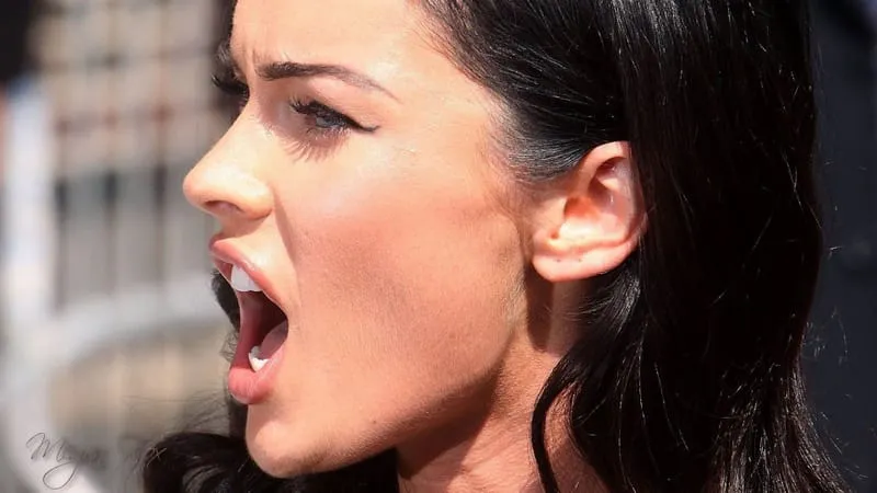 Megan Fox Theme Preview Image