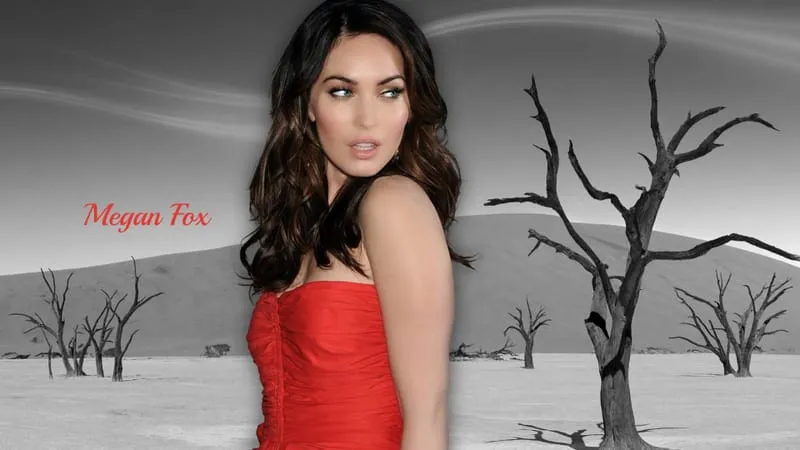 Megan Fox Theme Preview Image