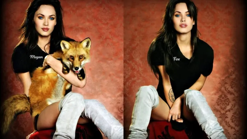 Megan Fox Theme Preview Image