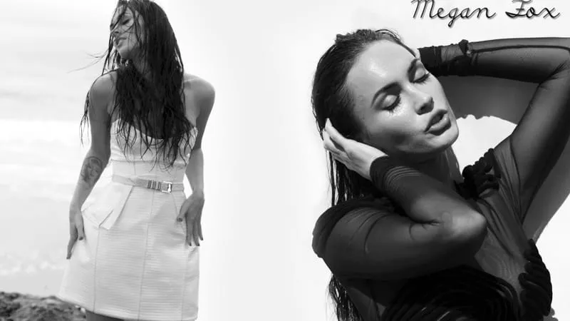 Megan Fox Theme Preview Image