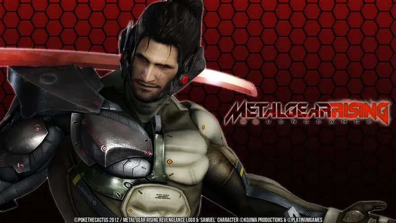 Metal Gear Rising Revengeance Theme Preview Image