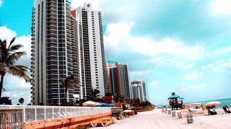 Miami Theme Preview Image