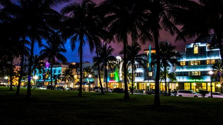 Miami Theme Preview Image