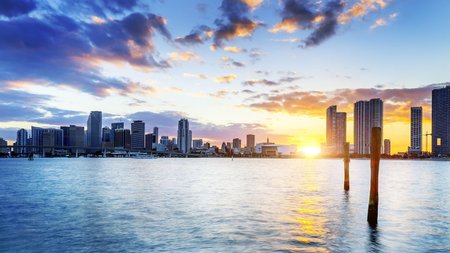 Miami Theme Preview Image