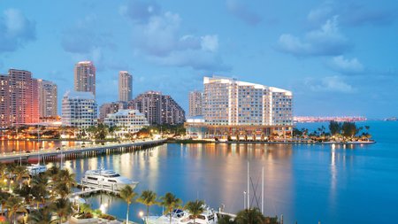 Miami Theme Preview Image