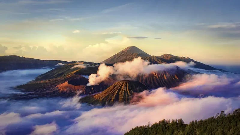 Mount Bromo Theme Preview Image