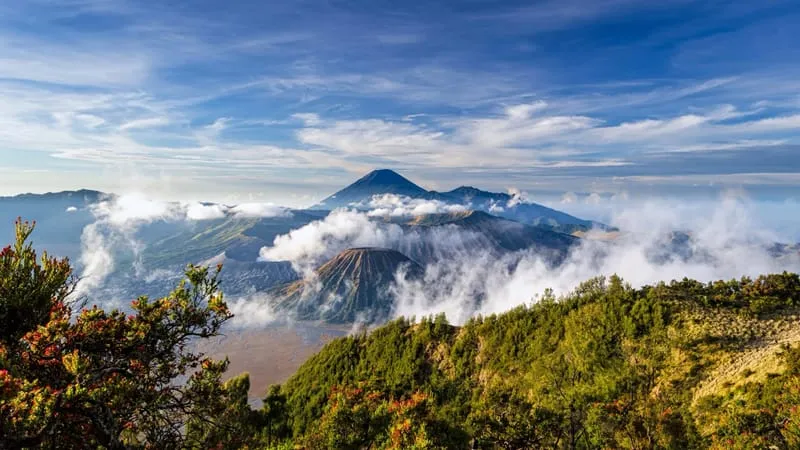 Mount Bromo Theme Preview Image
