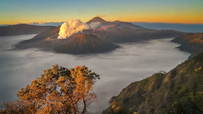 Mount Bromo Theme Preview Image