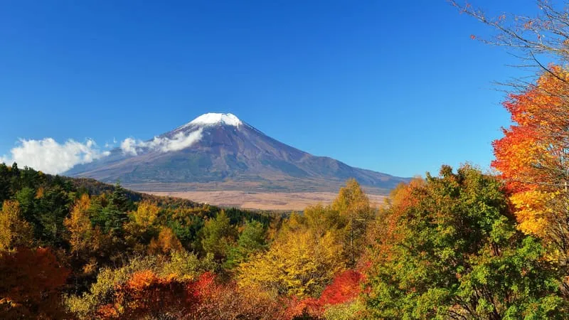 Mount Fuji Theme Preview Image