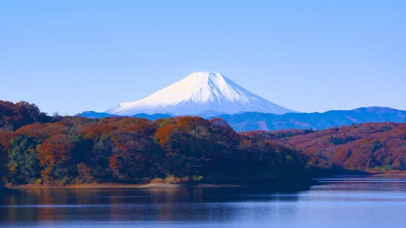 Mount Fuji Theme Preview Image