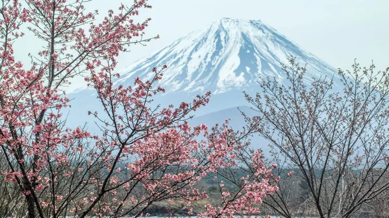 Mount Fuji Theme Preview Image