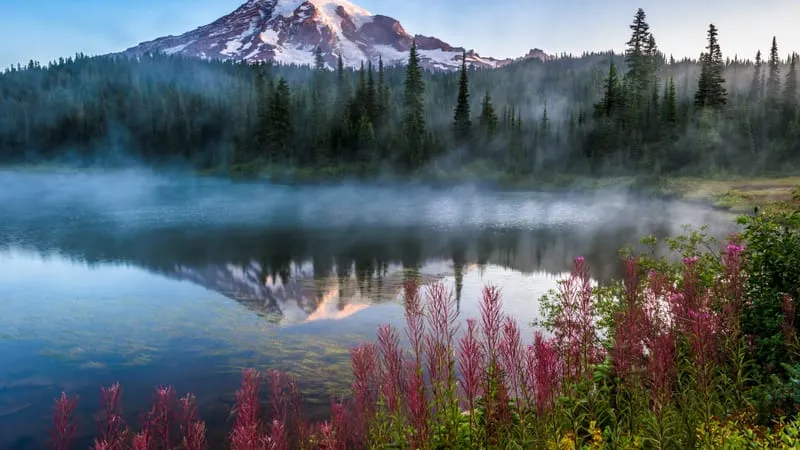 Mount Rainier Theme Preview Image