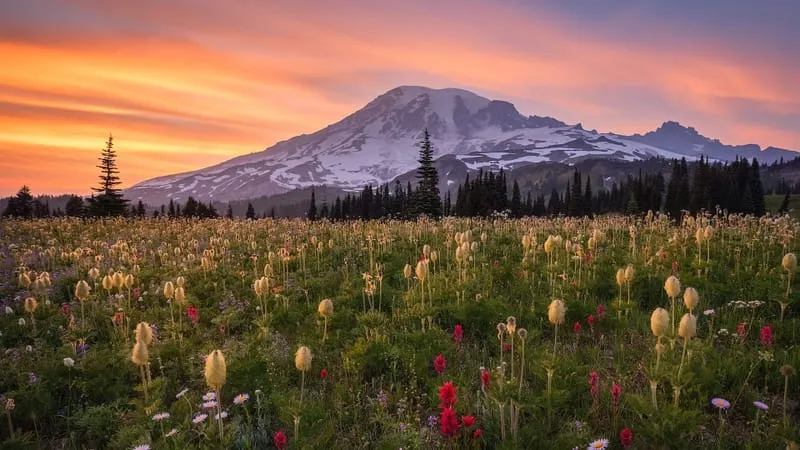 Mount Rainier Theme Preview Image