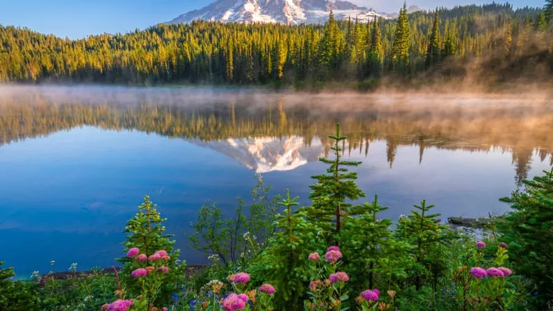 Mount Rainier Theme Preview Image