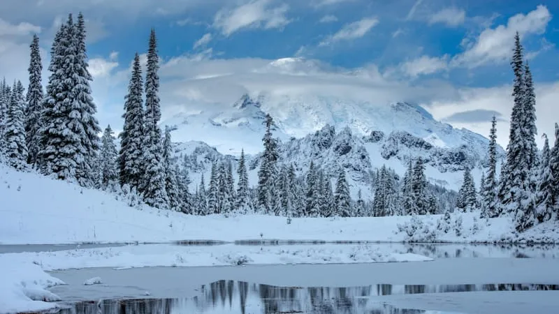 Mount Rainier Theme Preview Image