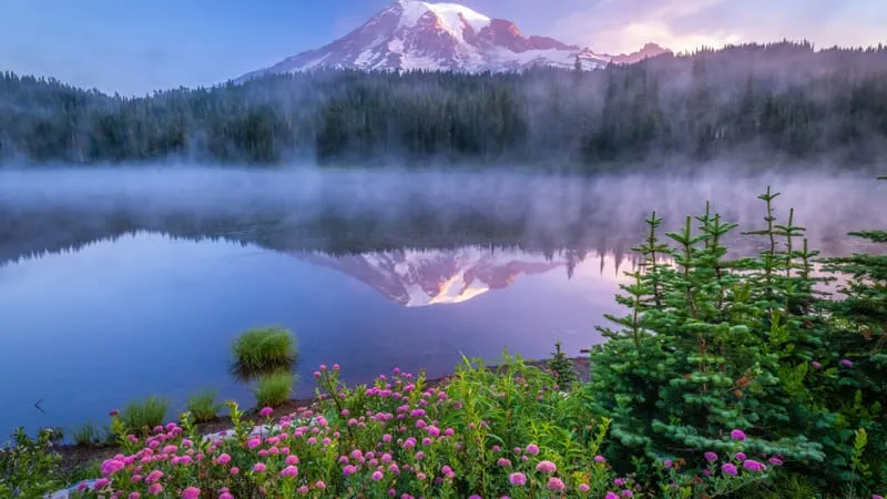Mount Rainier Theme Preview Image