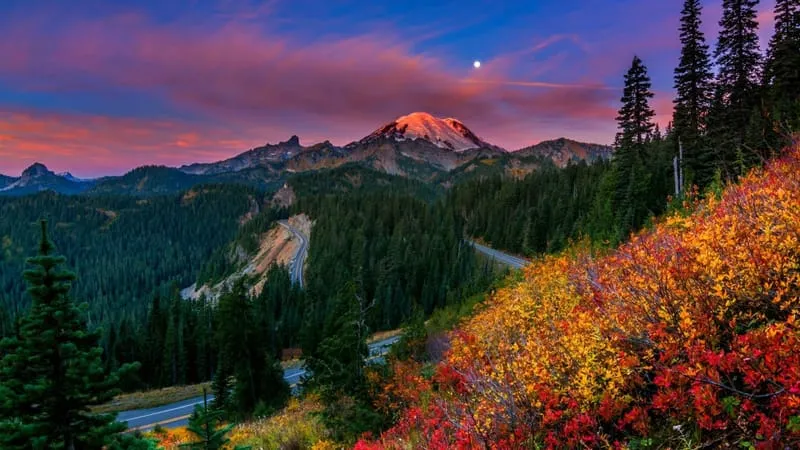 Mount Rainier Theme Preview Image