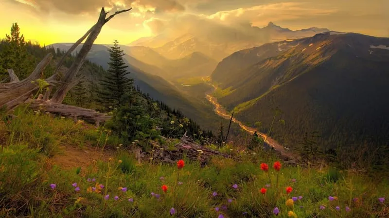 Mount Rainier Theme Preview Image