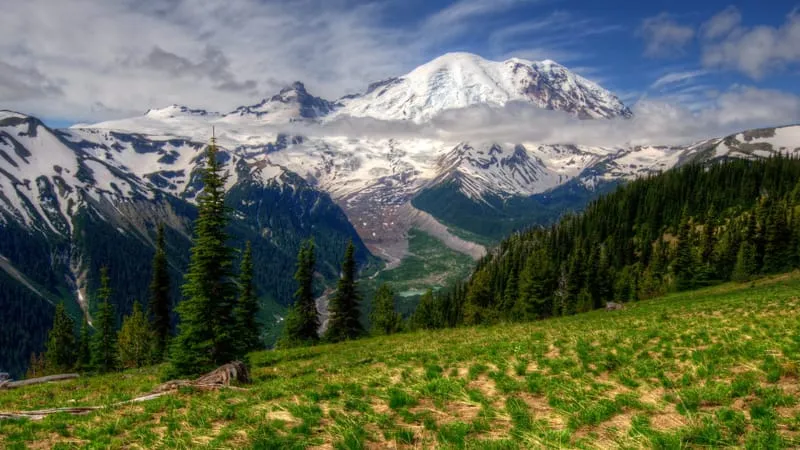 Mount Rainier Theme Preview Image
