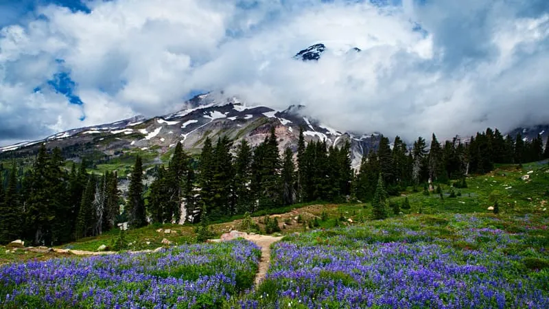Mount Rainier Theme Preview Image