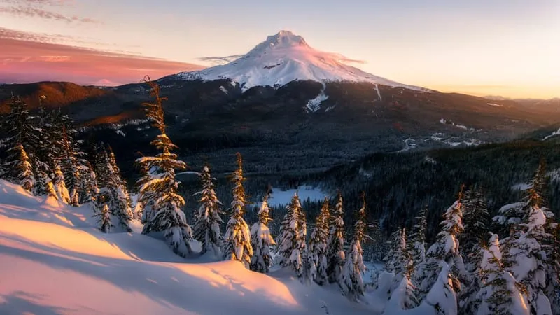 Mount Rainier Theme Preview Image