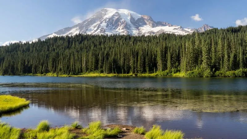 Mount Rainier Theme Preview Image