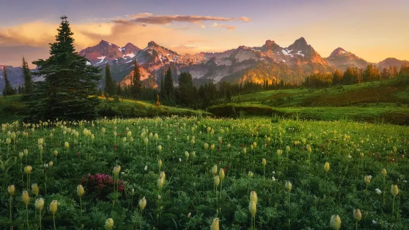 Mount Rainier Theme Preview Image