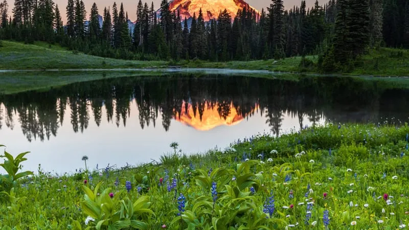 Mount Rainier Theme Preview Image
