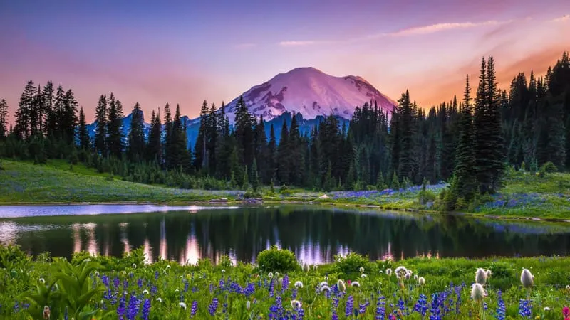 Mount Rainier Theme Preview Image