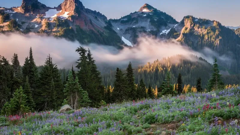 Mount Rainier Theme Preview Image