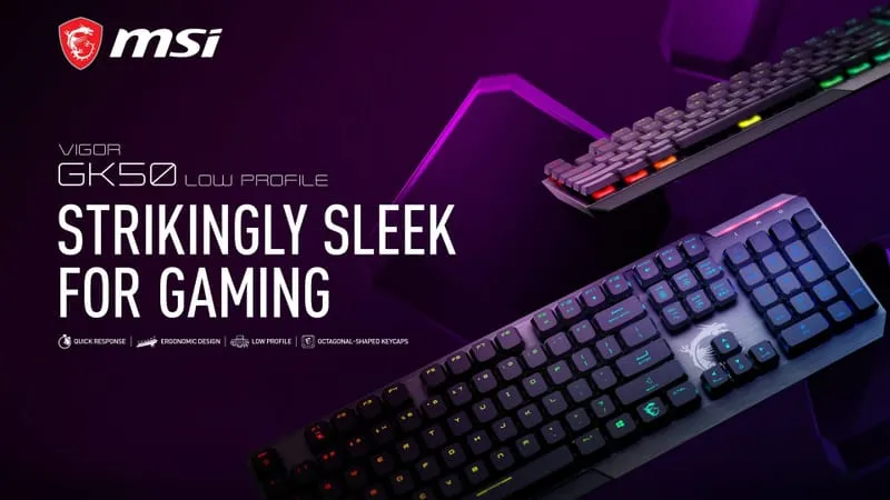 MSI Theme Preview Image