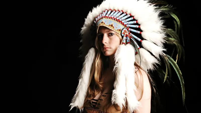 Native American Theme Preview Image