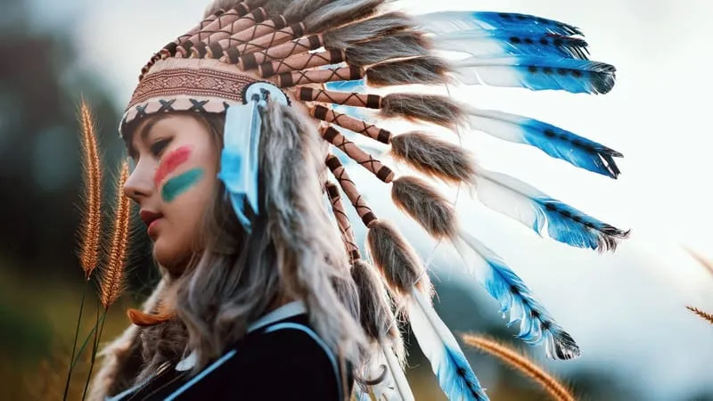 Native American Theme Preview Image