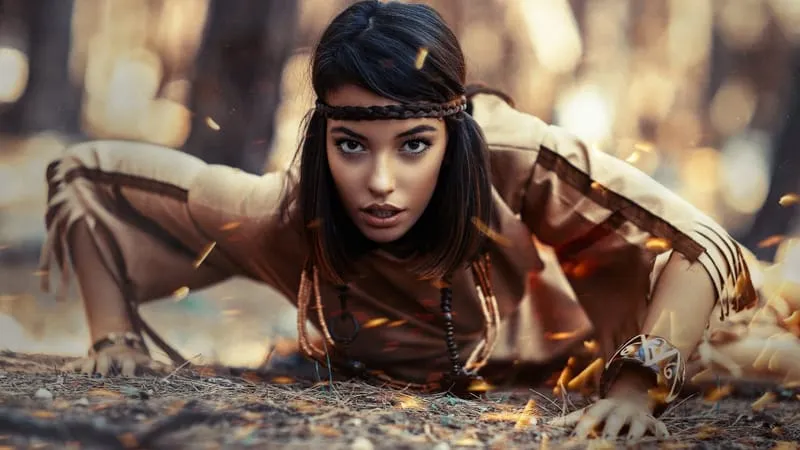 Native American Theme Preview Image