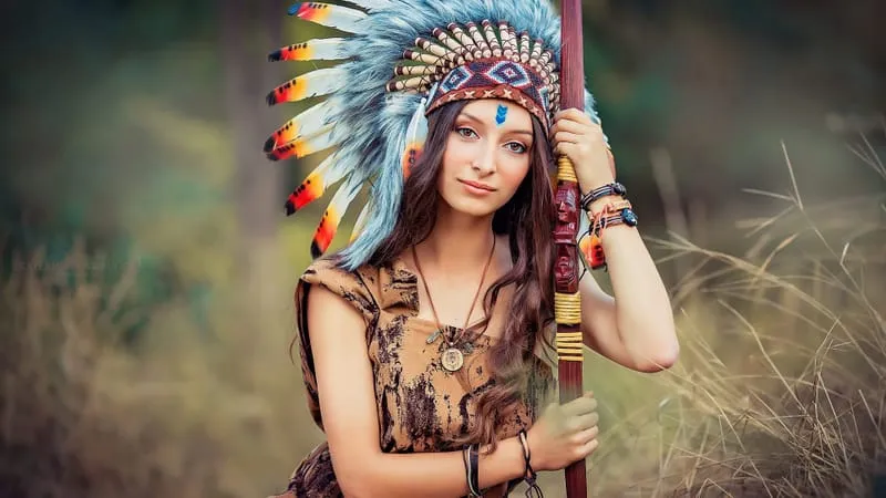 Native American Theme Preview Image