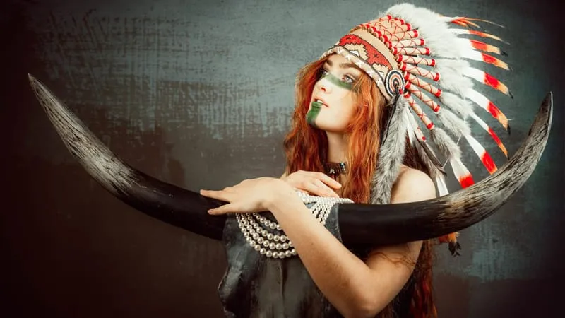 Native American Theme Preview Image