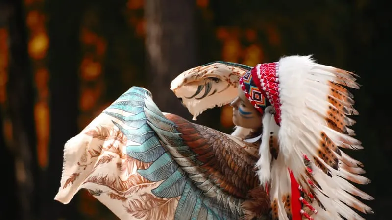 Native American Theme Preview Image