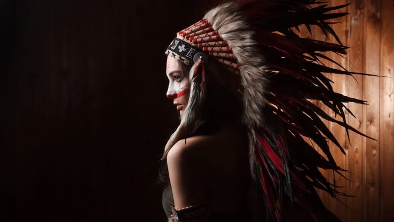 Native American Theme Preview Image