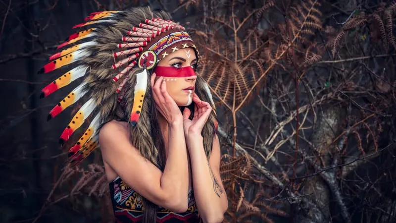 Native Americans Theme Preview Image